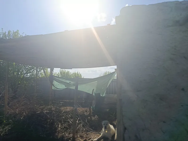 Yer maydoni sotiladi Buxoro viloyati jondor tumani 10s — фото 4