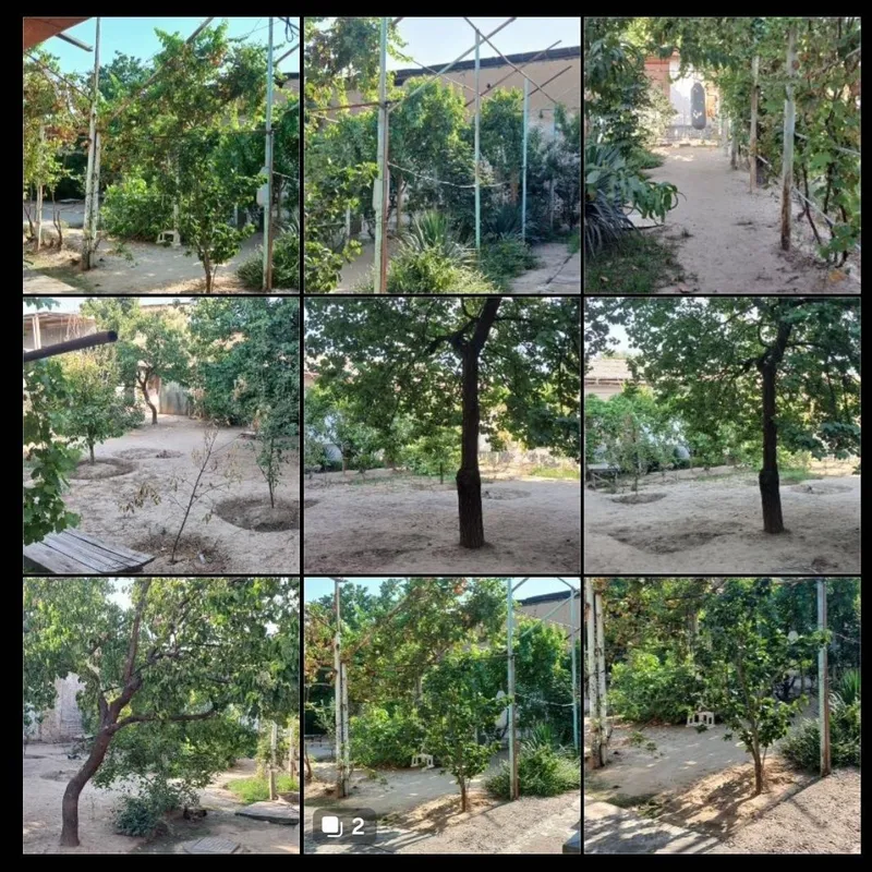 Toshkent shaxar Olmazor tumanida hovli sotiladi 1 Toshkent shaxar Olmazor tumanida hovli sotiladi 1