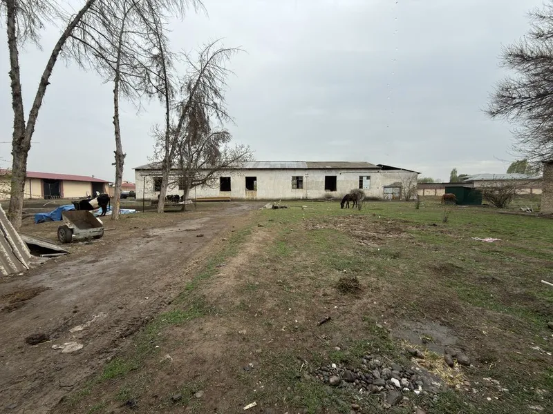 Продажа 1,4 гектара вдоль дороги Тузель с кадастром сквозной формы — фото 1