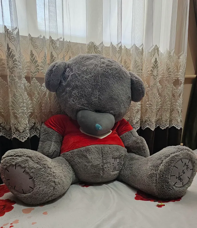Плюшевый мишка Teddy Плюшевый мишка Teddy
