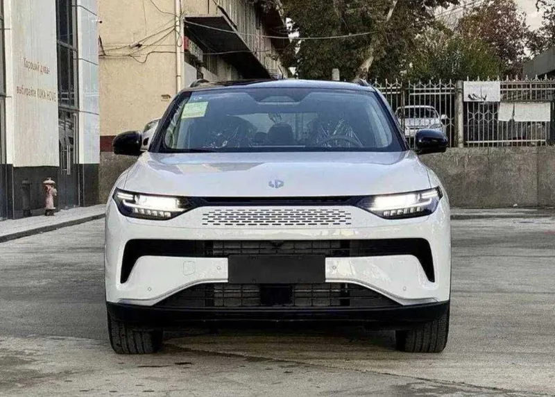 leapmotor c11 vikupga