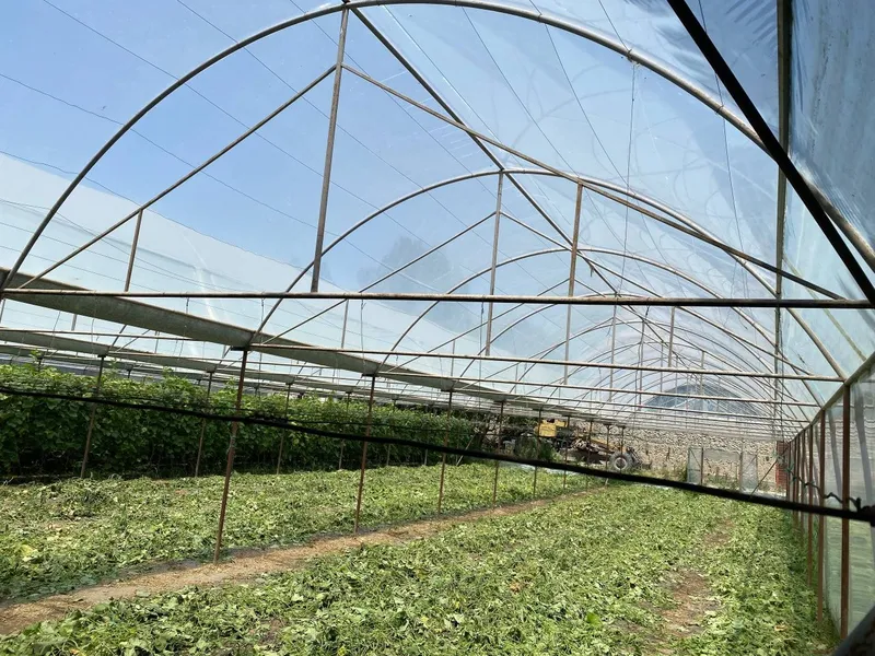 Issiq xona sotiladi 8 sotik 6.4×30 4 Issiq xona sotiladi 8 sotik 6.4×30 4