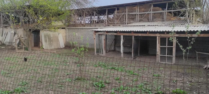 Уй сотилади, Достобод шахрида — фото 6