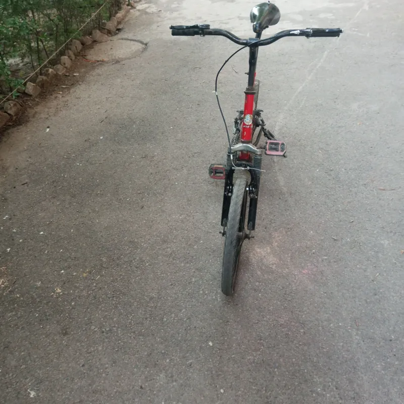Velsepet BMX 20-talik bir sikorsnoy 6 Velsepet BMX 20-talik bir sikorsnoy 6