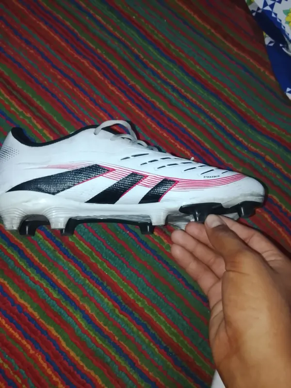predator 1 predator 1