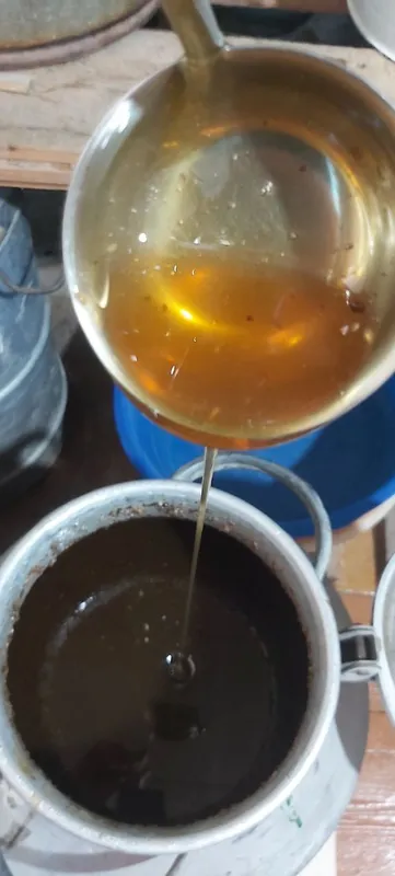 Tabiiy o‘zbek tog‘ asali (yangi hosil) 2