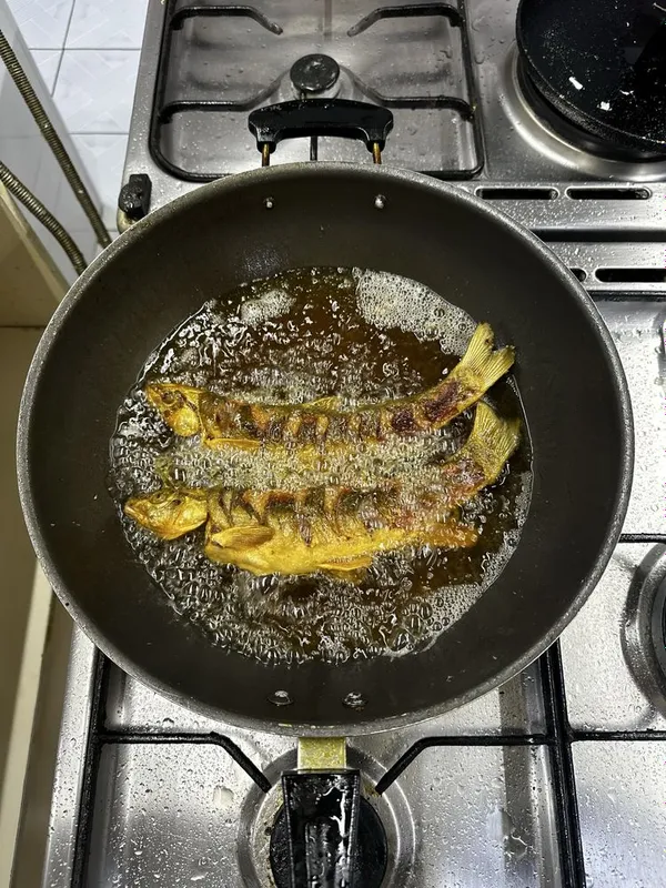 Marinka baliq sotiladi, yovoiy svejiy. Продаю маринок, дикие свежие 4 Marinka baliq sotiladi, yovoiy svejiy. Продаю маринок, дикие свежие 4