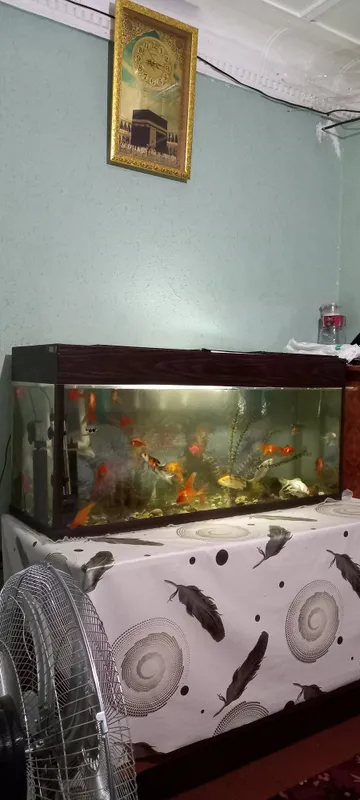 200litrlik akvarium