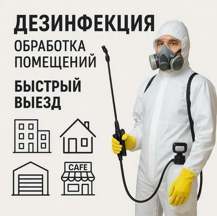 Уничтожение клопов | Дезинфекция хизмати | Клоп клапа таракан бурга