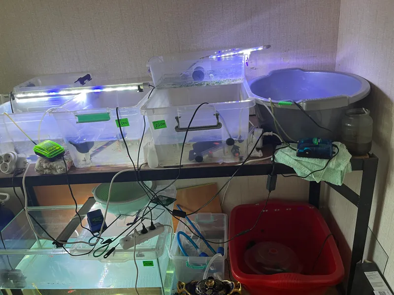 Akvarium uchun stellaj sotaman 2