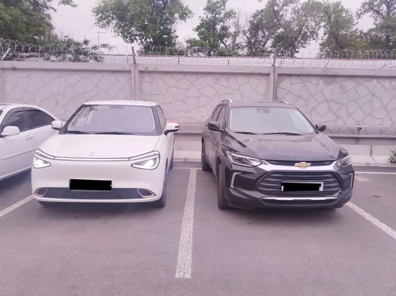 Dongfeng nammi 01 4