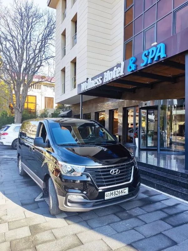 Hyundai grand starex h1 1