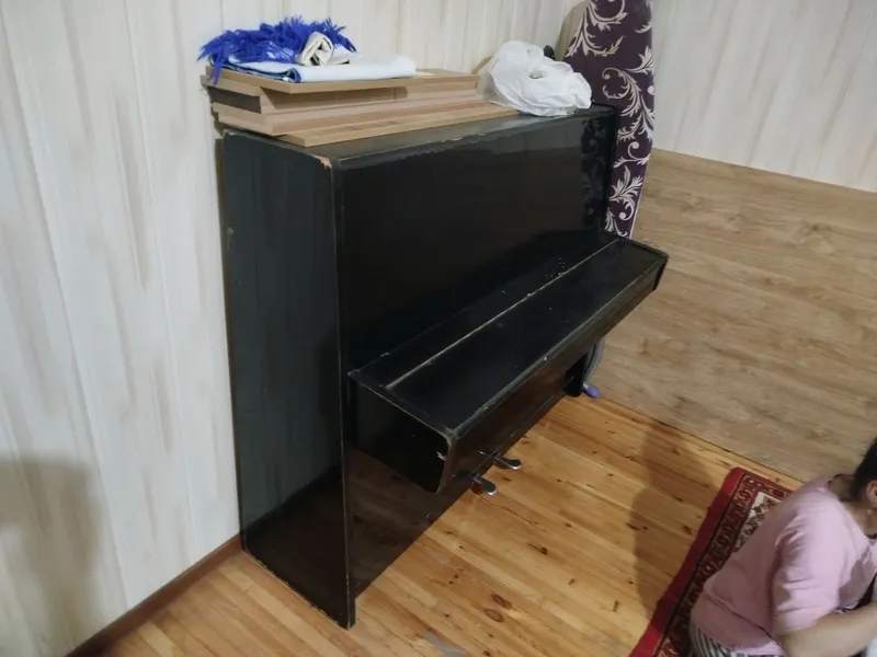 Пионина Ласточка — фото 1