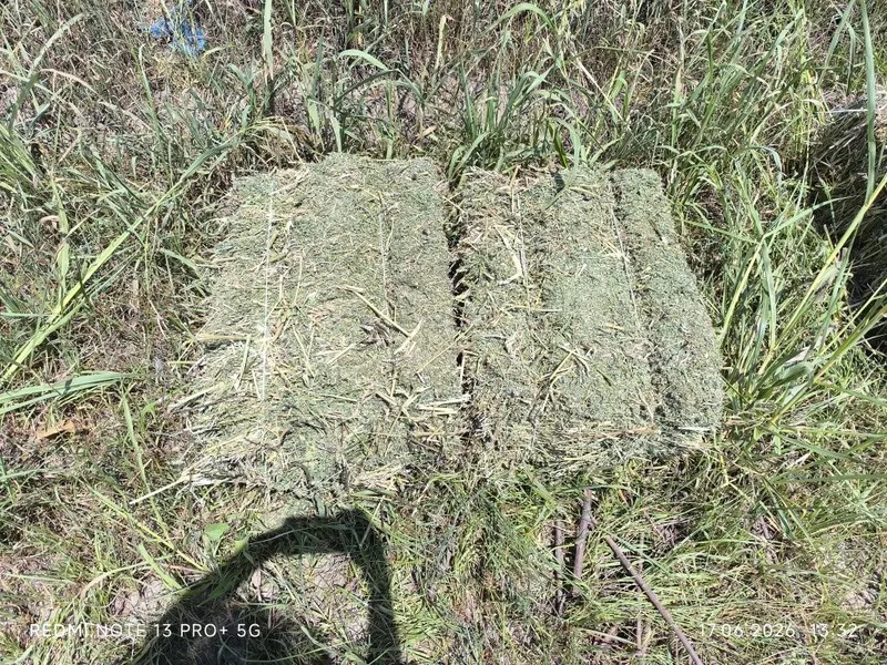 Беда пресс сотилади — фото 3
