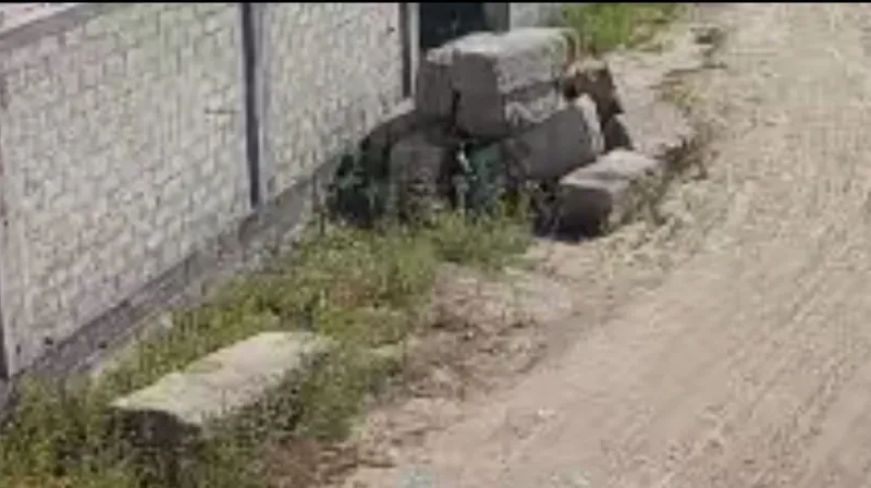 Бетонные, цокольные блоки, podval bloki