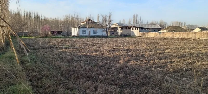 Продаётся участок в куйичирчик в посёлке Родина 2 Продаётся участок в куйичирчик в посёлке Родина 2