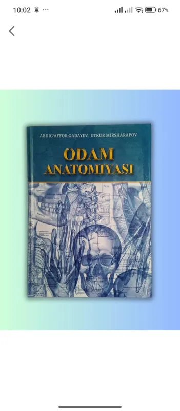 Odam anatomiyasi