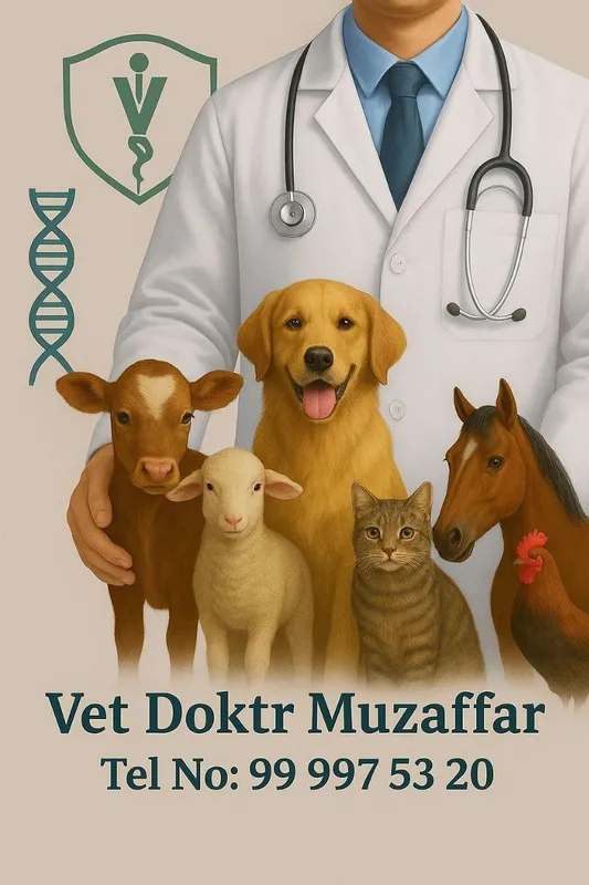 Malakali veterinariya xizmati Ilm shifa-VET 1