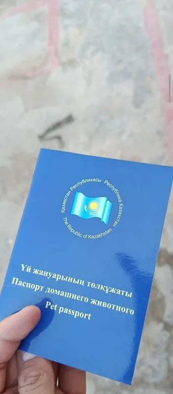 Малинуа тоззаси керак диганларга пирвазное — фото 3
