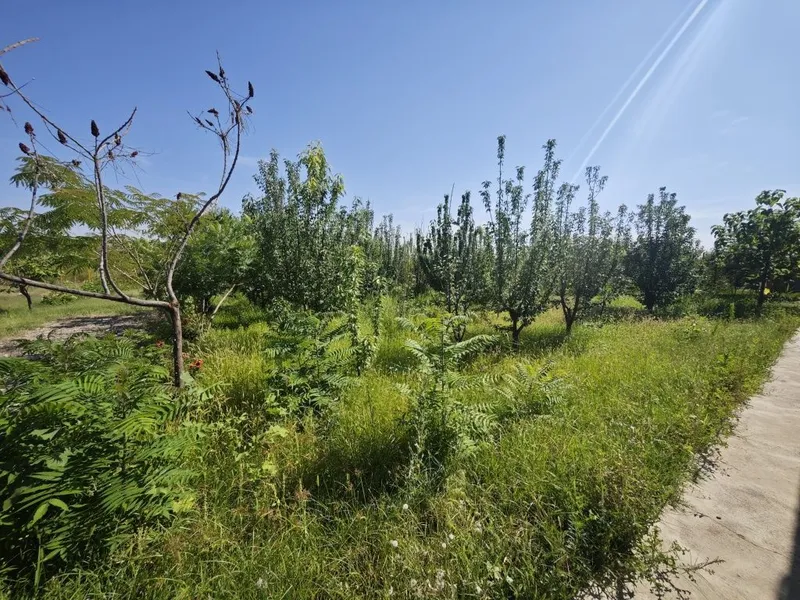 Dacha bostonliq 30 sotiqli dacha suv boyida sotiladi — фото 6
