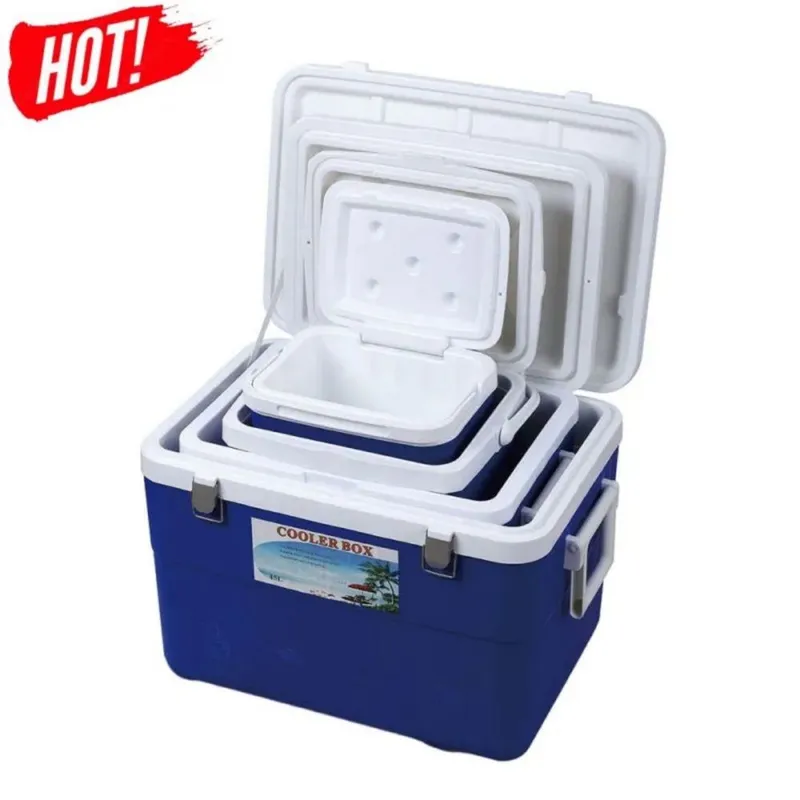 Изотермический контейнер (термобокс) / Cooler Box для пикника — фото 1