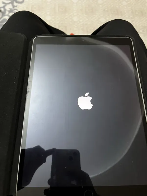 iPad pro 256 gig 1 iPad pro 256 gig 1