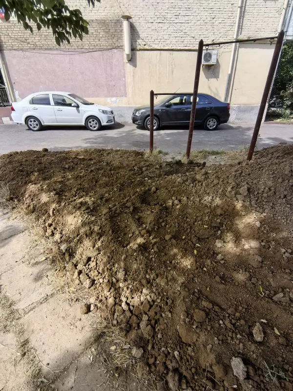 Соф турпо текинга кимга кере буса — фото 2