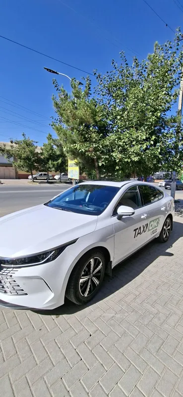 Бевади бирнчи кул 2025 п 50 м 1 Бевади бирнчи кул 2025 п 50 м 1