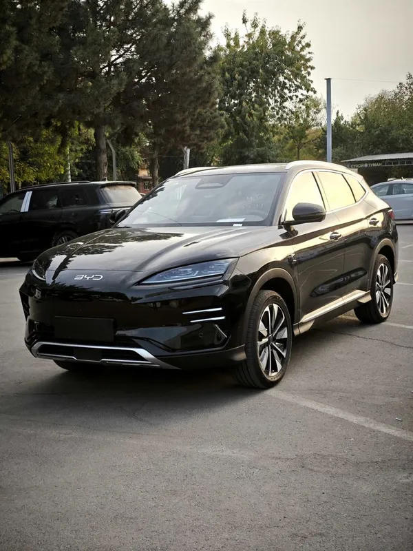 BYD chempion restalin BYD chempion restalin