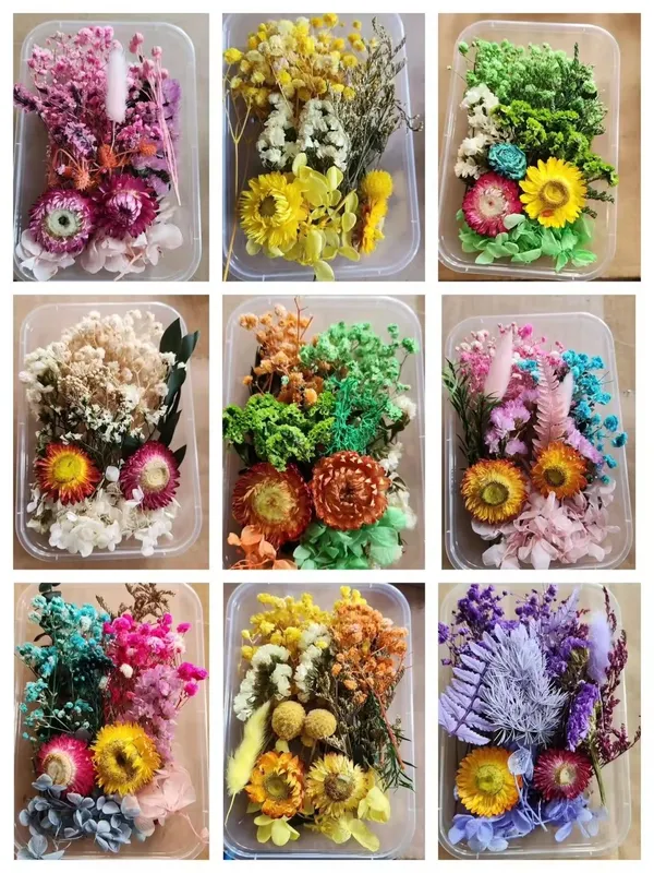 Сухоцветы. Qurutilgan gullar Сухоцветы. Qurutilgan gullar