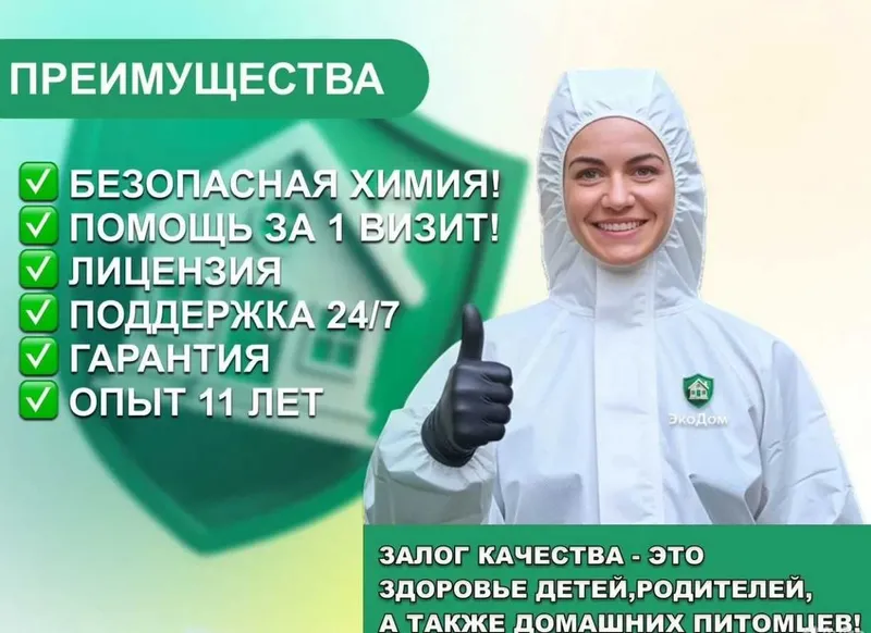 Dezinfeksiya Dizinfeksiya klapa Dizenfeksiya tarakan ilon chayon klopa — фото 1