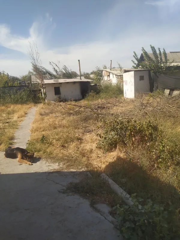 продам дом бывшее дача 9км от нового тошми 4 продам дом бывшее дача 9км от нового тошми 4