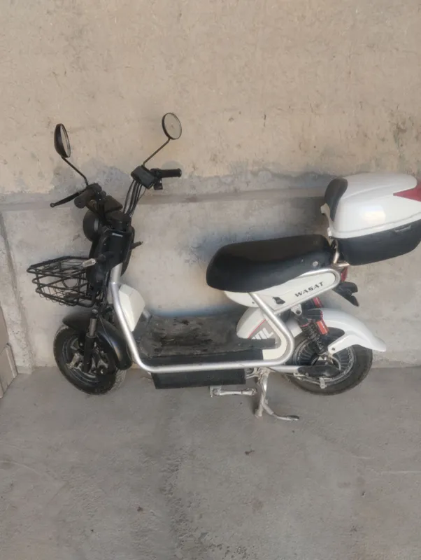 sukutir sotiladi narxi bulishi 1.600