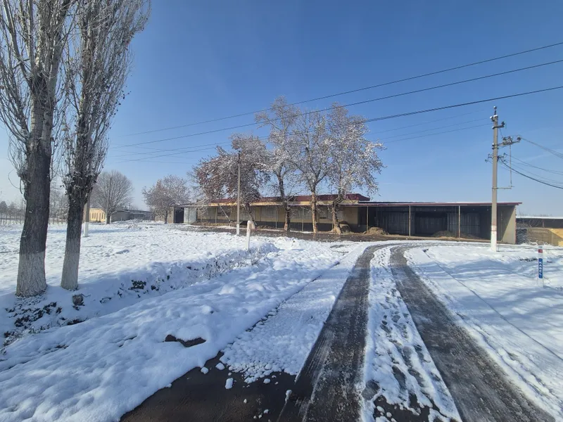 Кафе,ошхона,столовый,на трассе — фото 3