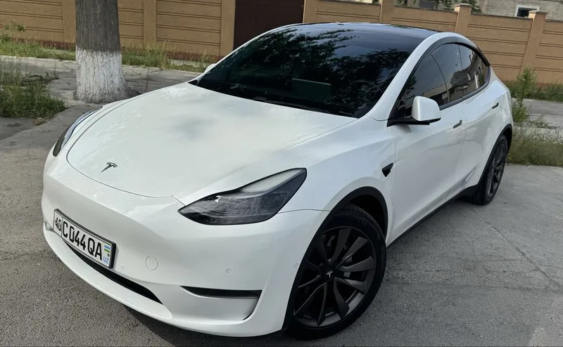 Tesla Model Y Long Range — фото 1