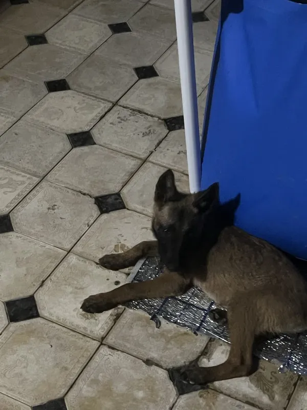 ayol 3oylik buldi manizl jizzax 4 ayol 3oylik buldi manizl jizzax 4