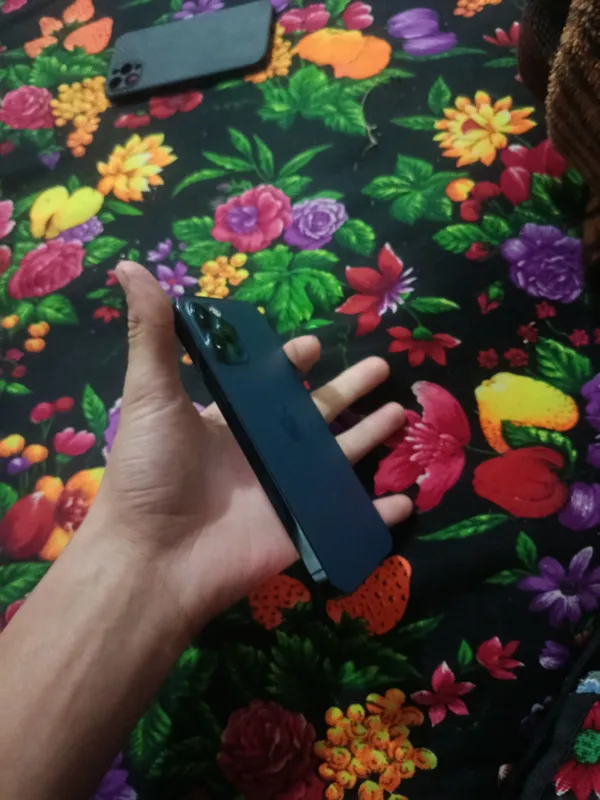 iPhone 12 Pro 2