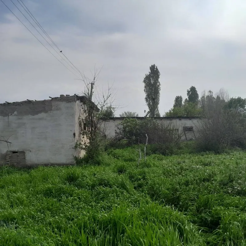 Участок пскет Uchastok piskent 5 Участок пскет Uchastok piskent 5