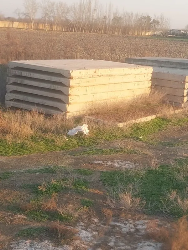 Rassiski penes qovurg'alik pilta 1 Rassiski penes qovurg'alik pilta 1