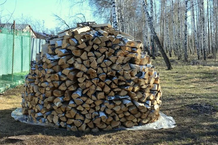 Продается Отин (дрова) — фото 2