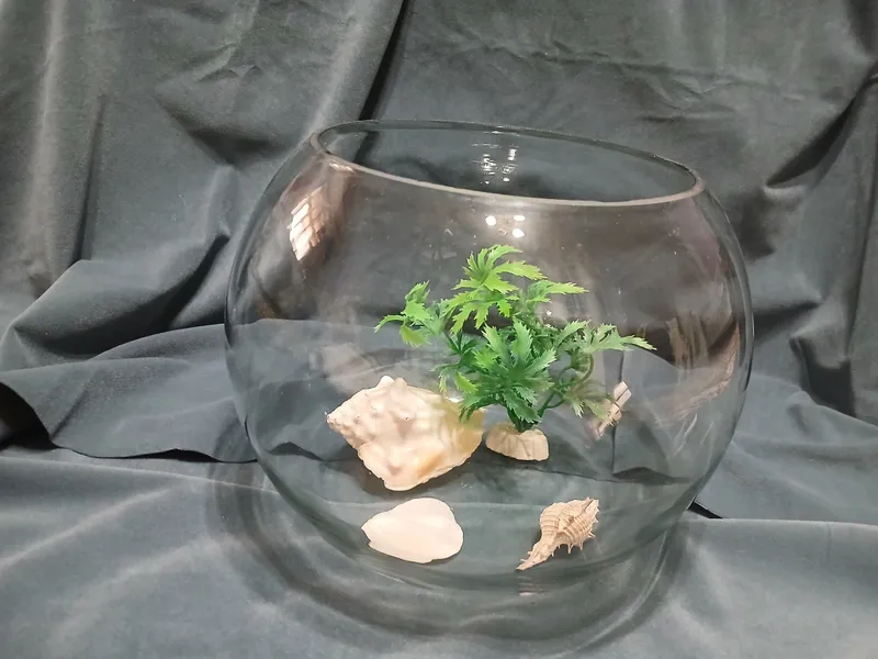 akvarium 5