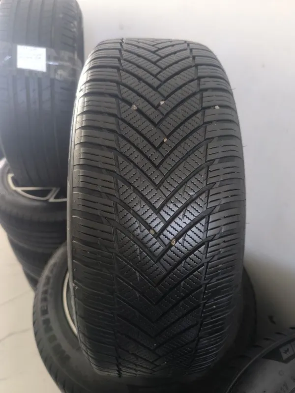 215,55,17 minerva 17 vossen saka 2