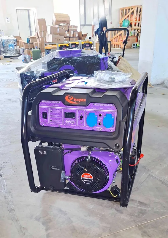 Бензиновый генератор со стартером XS6500E 5 кВт 12ой кафолат (движок) 2