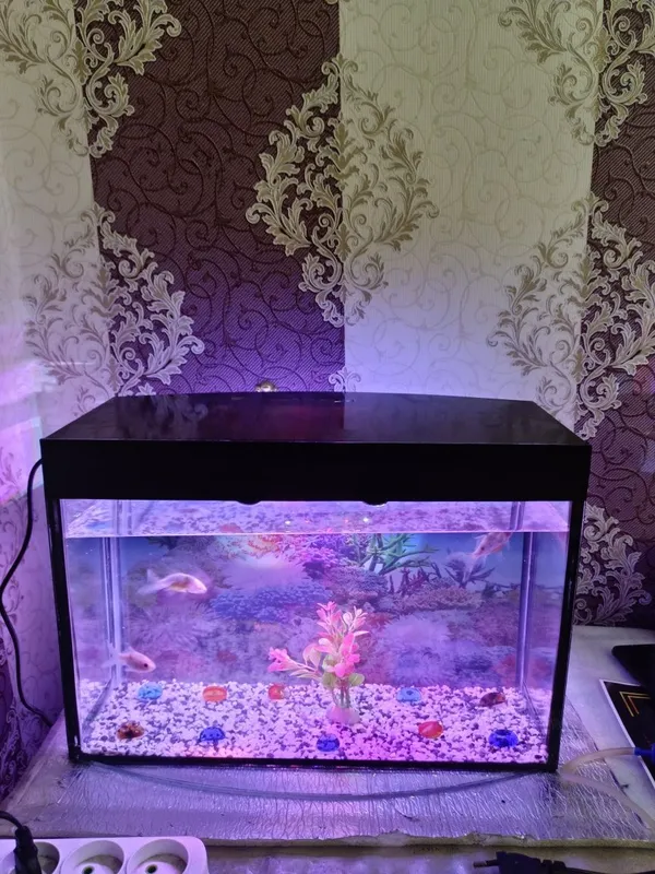 Akvarium 25Litr komplekt
