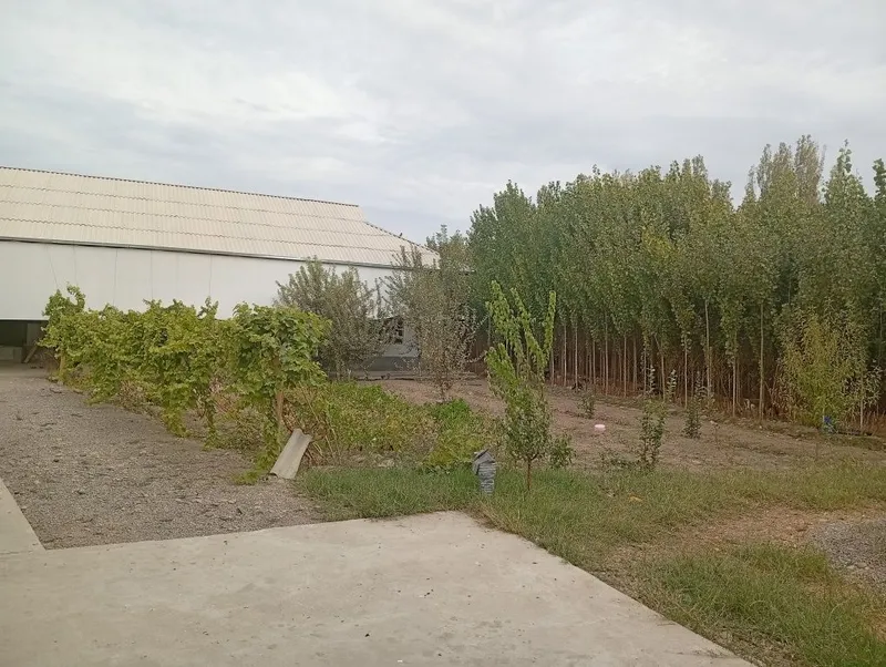 Продается участок — фото 3