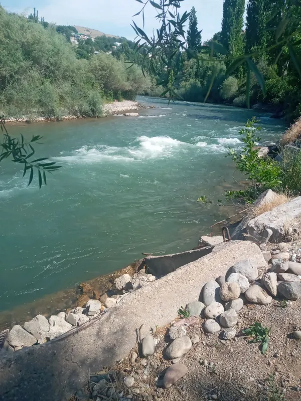 Oila, ufatlar bilan dam olgani dacha — фото 6