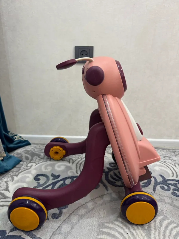 Functional Baby Walker 2
