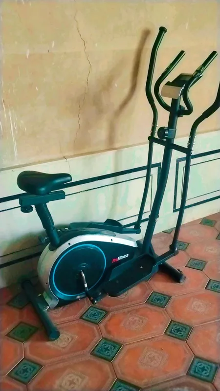 Pro Fitness