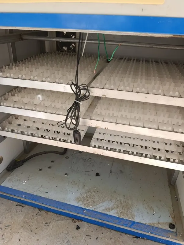 Inkubator sotiladi 600talik 4