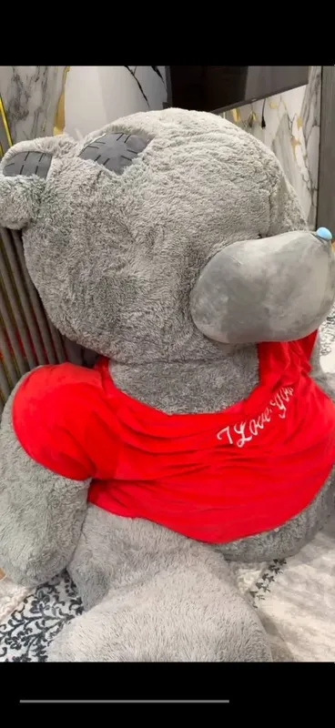 Teddy 3 metr narxi kelishamiz manzil Toshkent